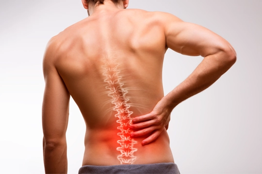 Chiropractic Oakland NJ Back Pain